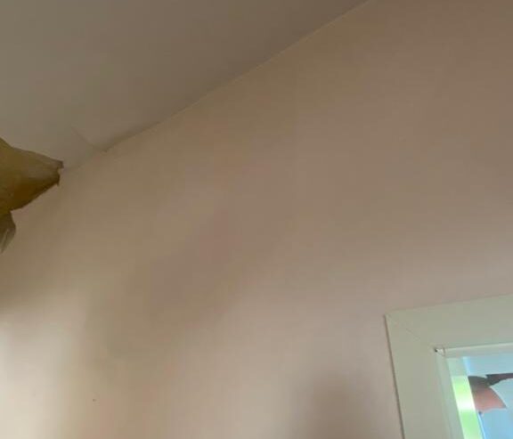 WhatsApp-Image-2026-01-07-at-23.06.45-1