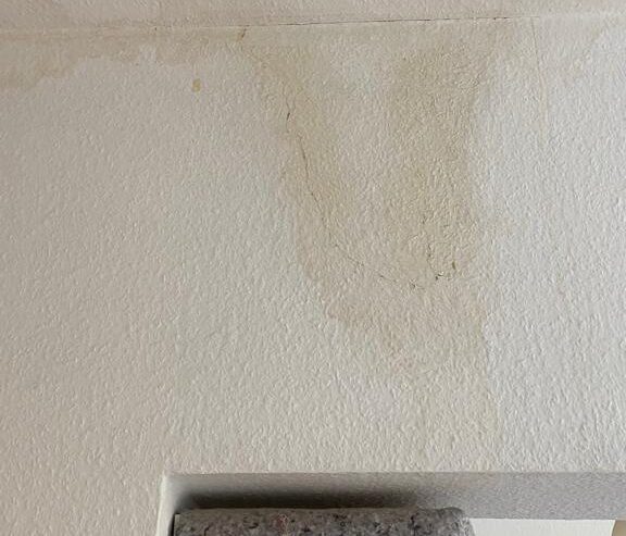 WhatsApp-Image-2026-01-07-at-23.06.48-1