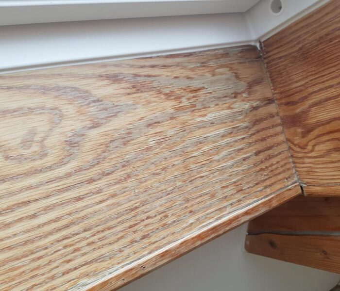 WhatsApp-Image-2026-01-07-at-23.06.52