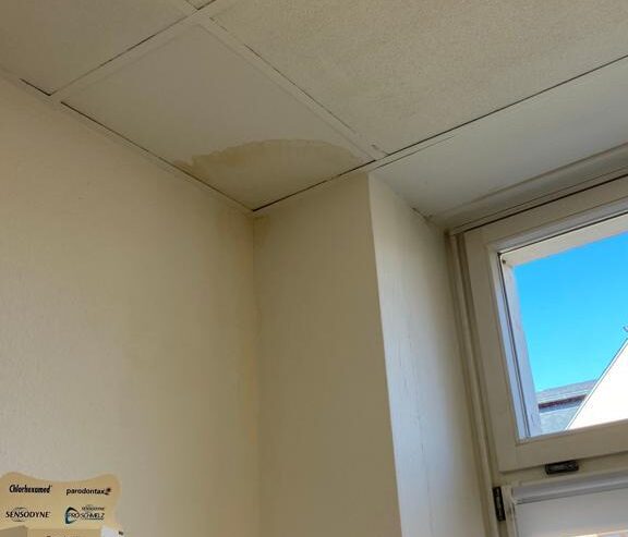 WhatsApp Image 2026-01-07 at 23.06d.47